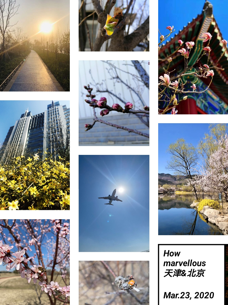 20200917160032694833.jpg 1584940946606204.jpg